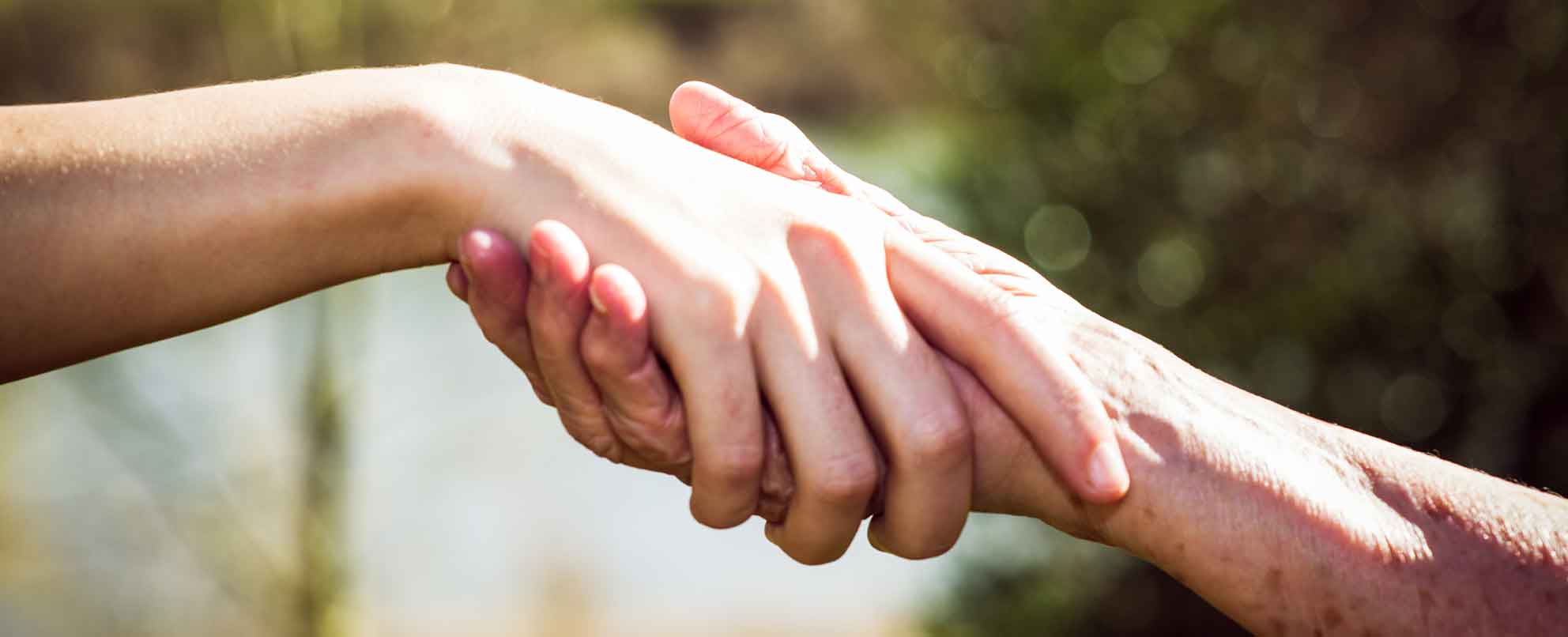 Two hands, young and old, engaging in a handshake